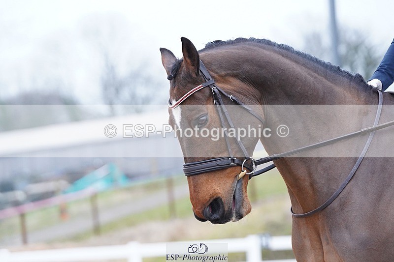 250214-105000-00214 - 139-Jane.Gregory-GAME.BOY.V.T.RECHT.EIND