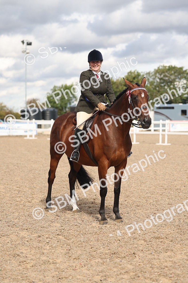 SBM_13209 - Class 306 - Ridden Foreign Breds - Part Bred