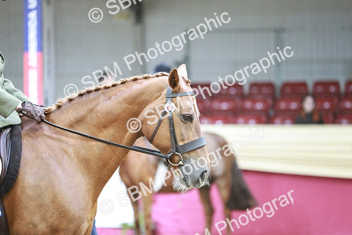 SBM_03391 - Class 6A Area Ridden Pre-Vet