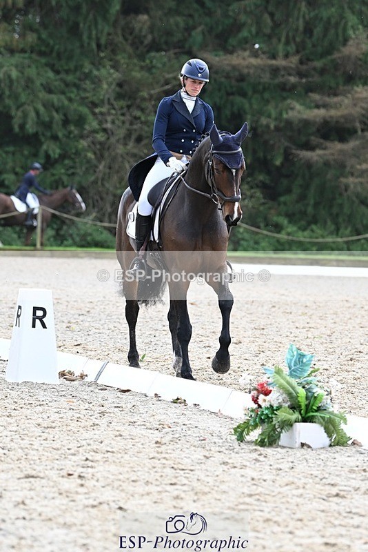 231019-145254-04299 - 057-OVERTON.TILANA'S.GOLD-Claire.Deuten-DR