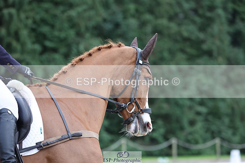 241024-150747-04747 - 230-Harriet.Dickin-PULL.YA.SOCKS.UP