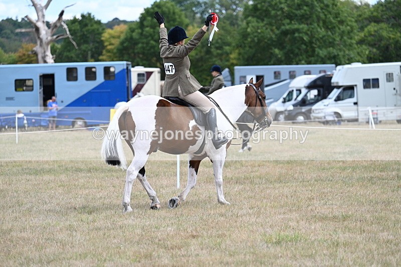 WJ7_5690 - Class 12 Ridden Cob