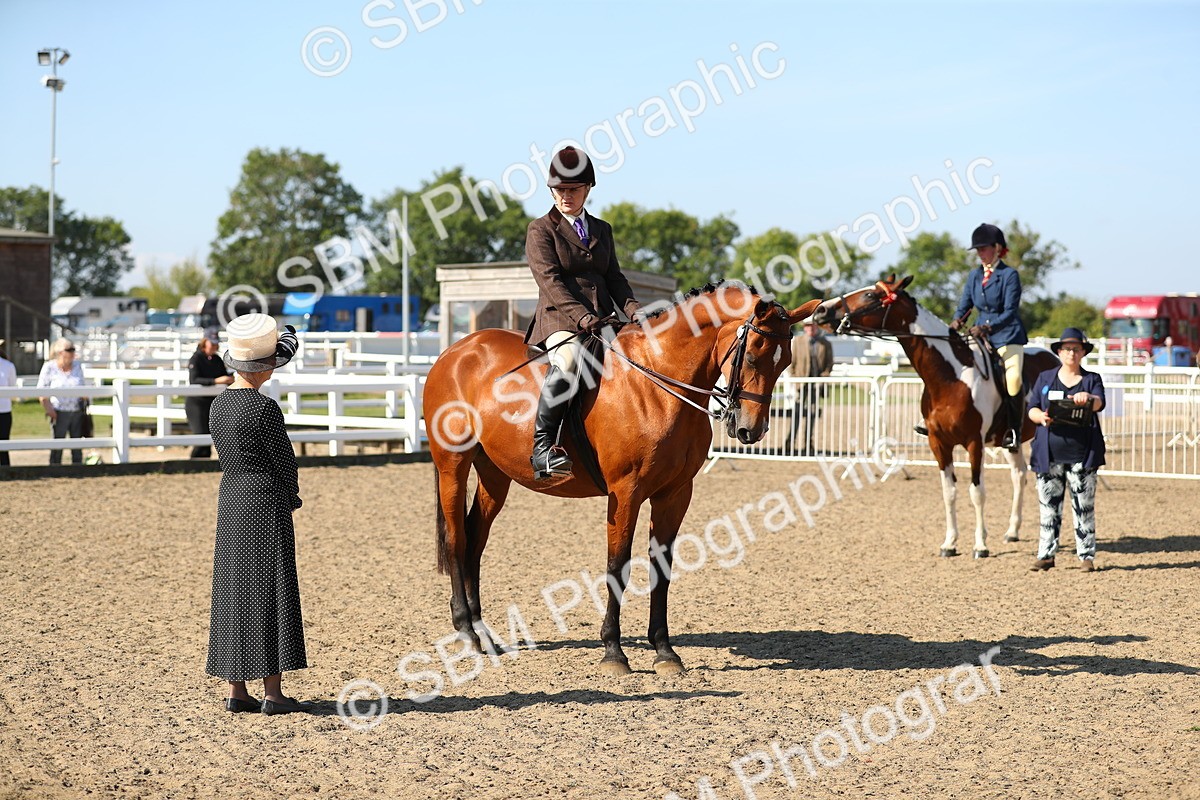 SBM_02263 - Class 43 Ridden Competition Horse/Pony