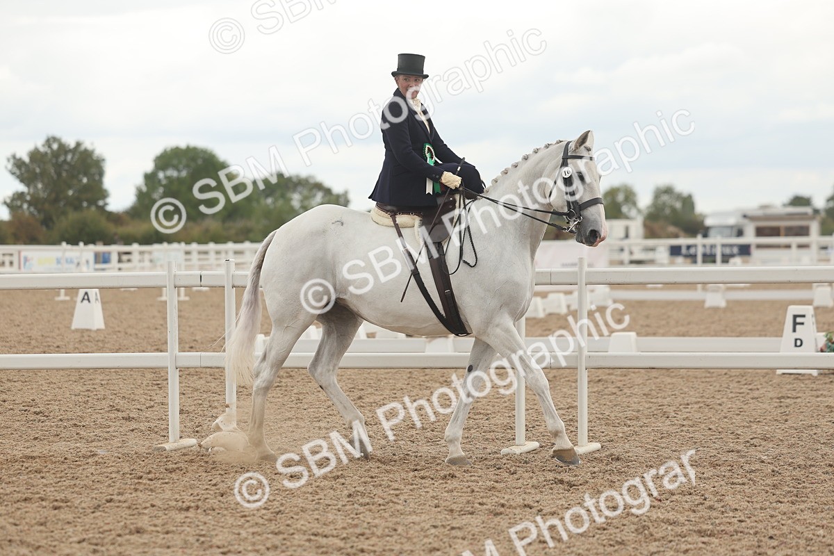 SBM_06311 - Class 23 - SSA - Classical