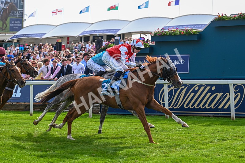 230526-Race 7-Golden Strike-7989 - Race 7 17.00pm William Hill Boosts Every Day Handicap