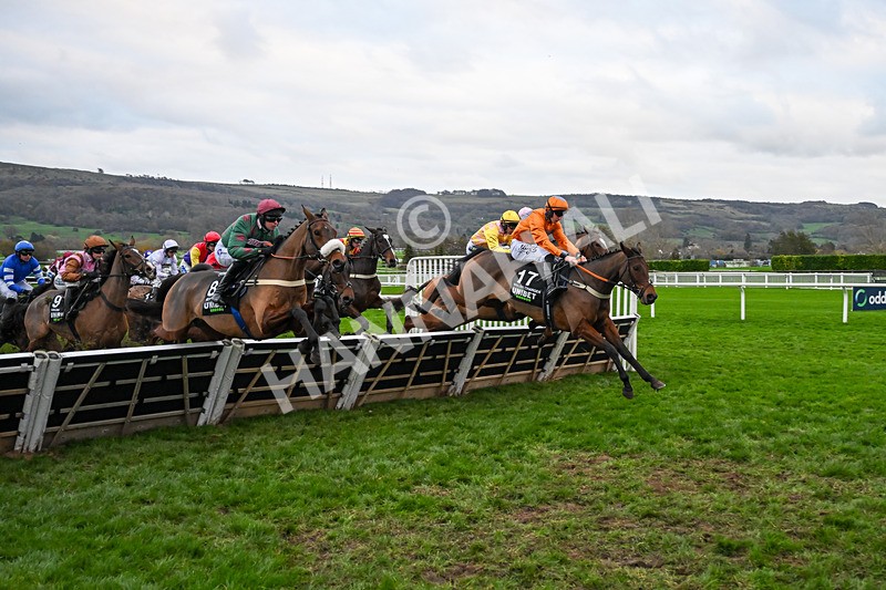 161125-Race 5-Welsh Charger-6339 - Race 5