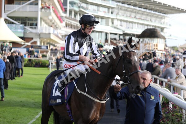 yr07102022r4-21 - Race 4 3.50pm William Hill Best Odds Guaranteed Stakes