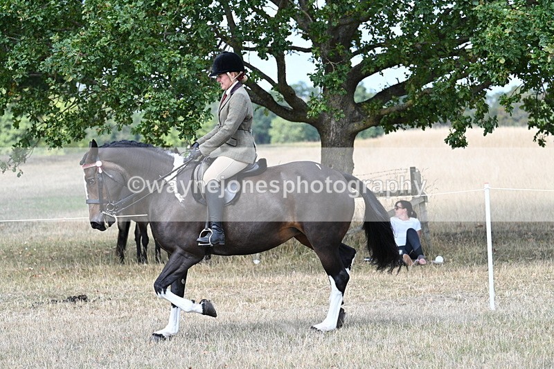 WJ7_6093 - Class 13 Ridden Veterans