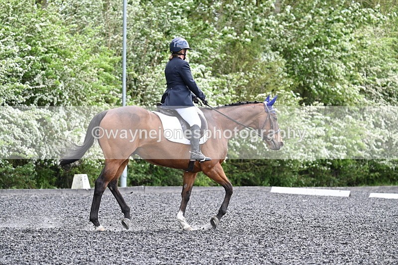 WJ7_0582 - Time 13:29 to 13:59