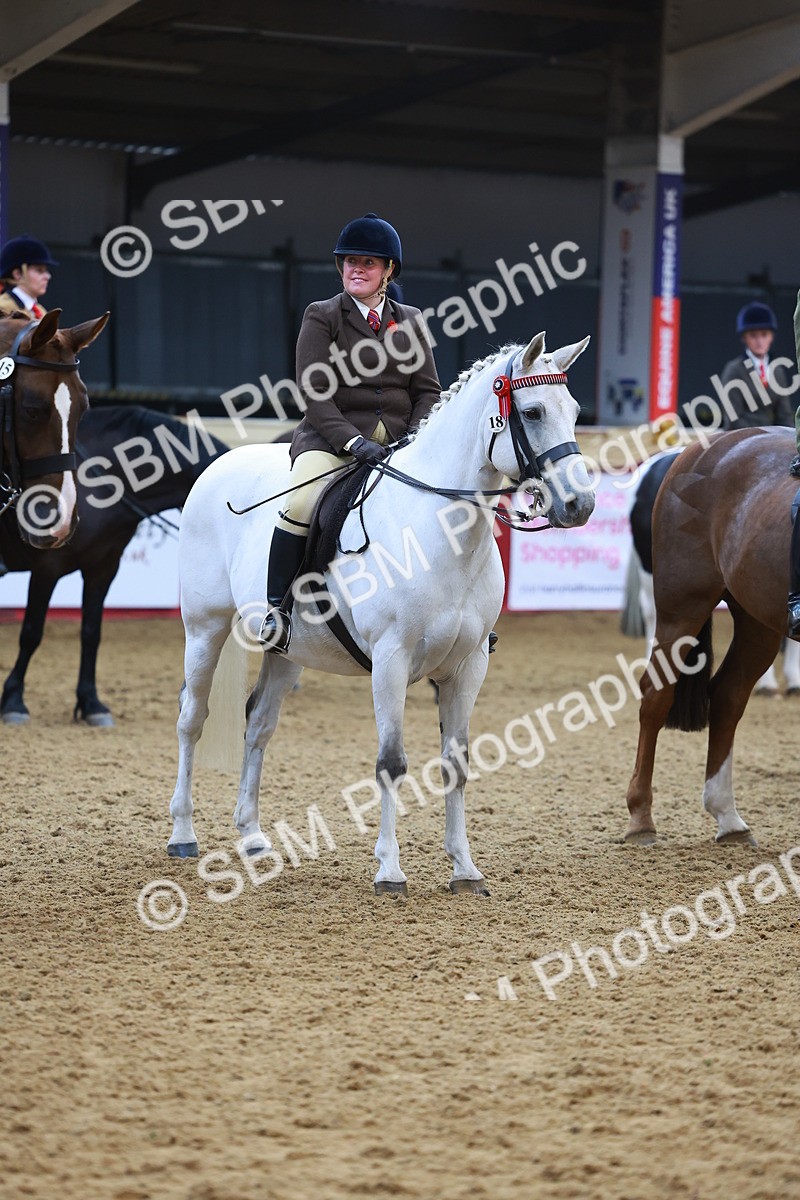 SBM_12680 - Class 103 - HOYS Veteran Qualifier - Ridden Pre Vet