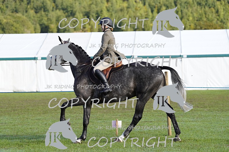_DSC9376 - Class 8 & 17 Ridden Hunter & Ridden Hunter Pony