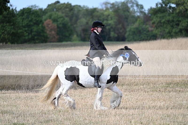WJ7_7632 - Ridden Championship