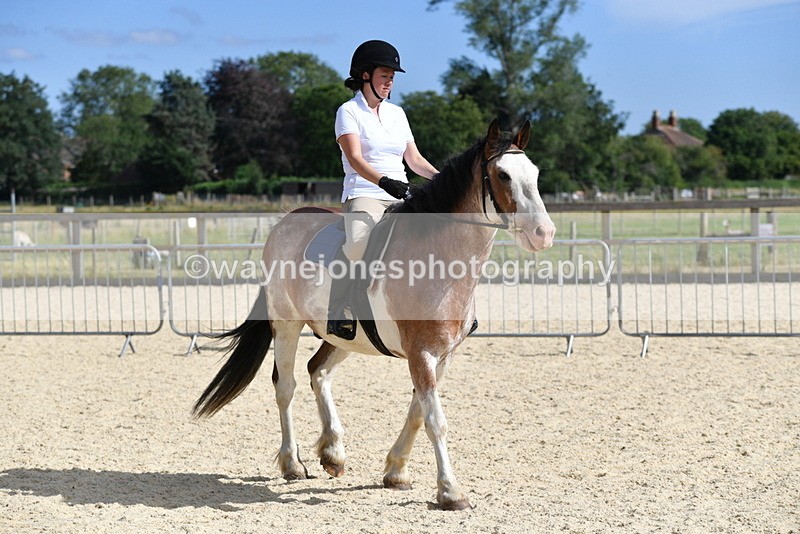 WJ5_5533 - Poles on the Floor