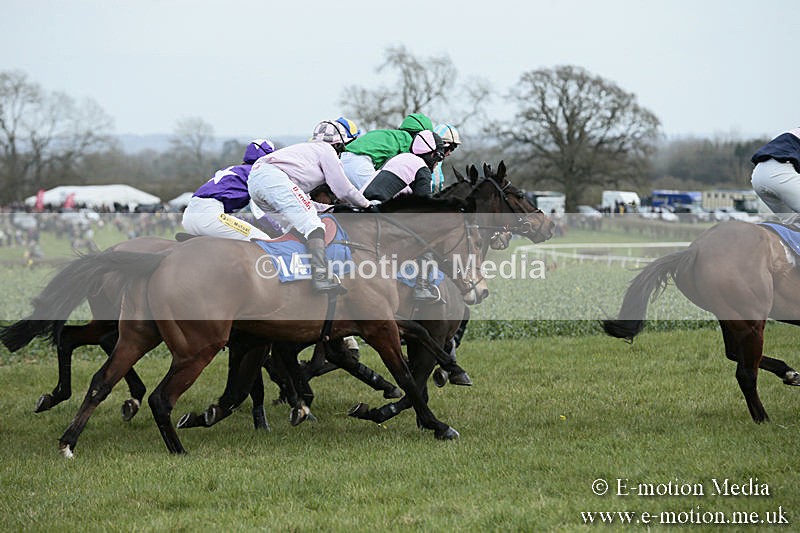 PtP 230319 169 - VWH Hunt Siddington Point-to-Point Racing 23/03/19
