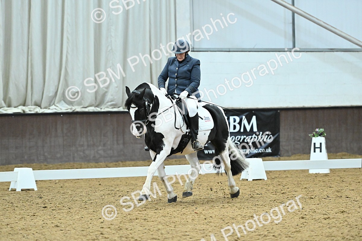 SBM_007401 - Class 81 - Novice 3