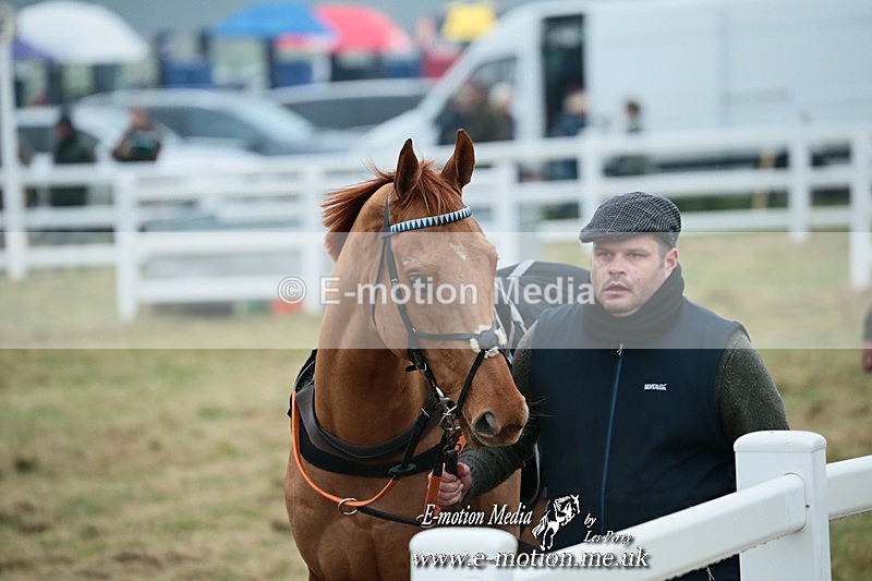 PtP 261123 23 - Hursley Hambledon Point-to-Point Larkhill 26 Nov 2023