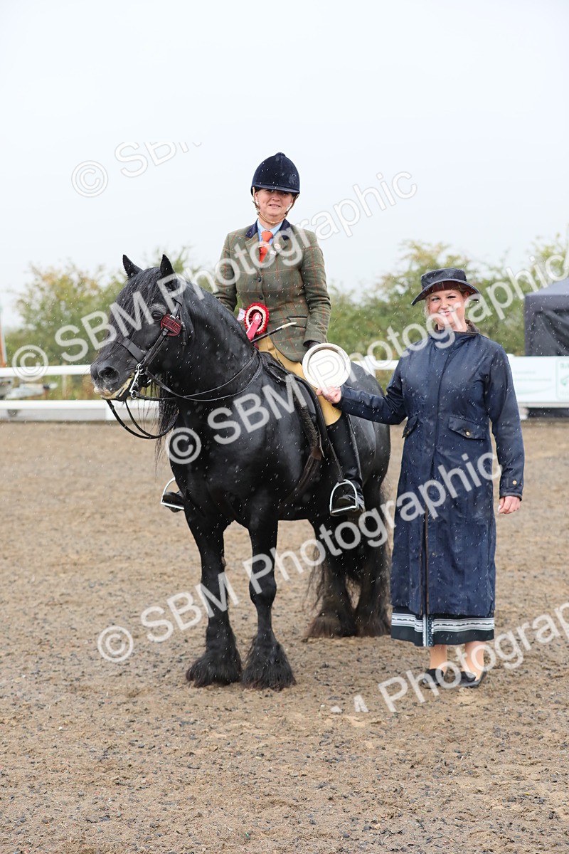 SBM_20628 - Class 804 - Ridden Veteran Pony