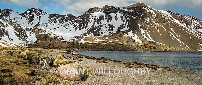 - Antartica