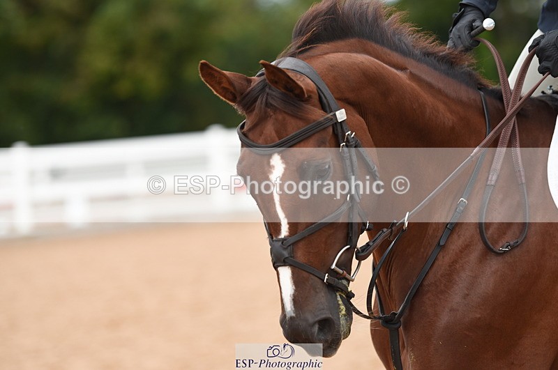 230830A-132504-00894 - Cls 4 Newcomers & Open