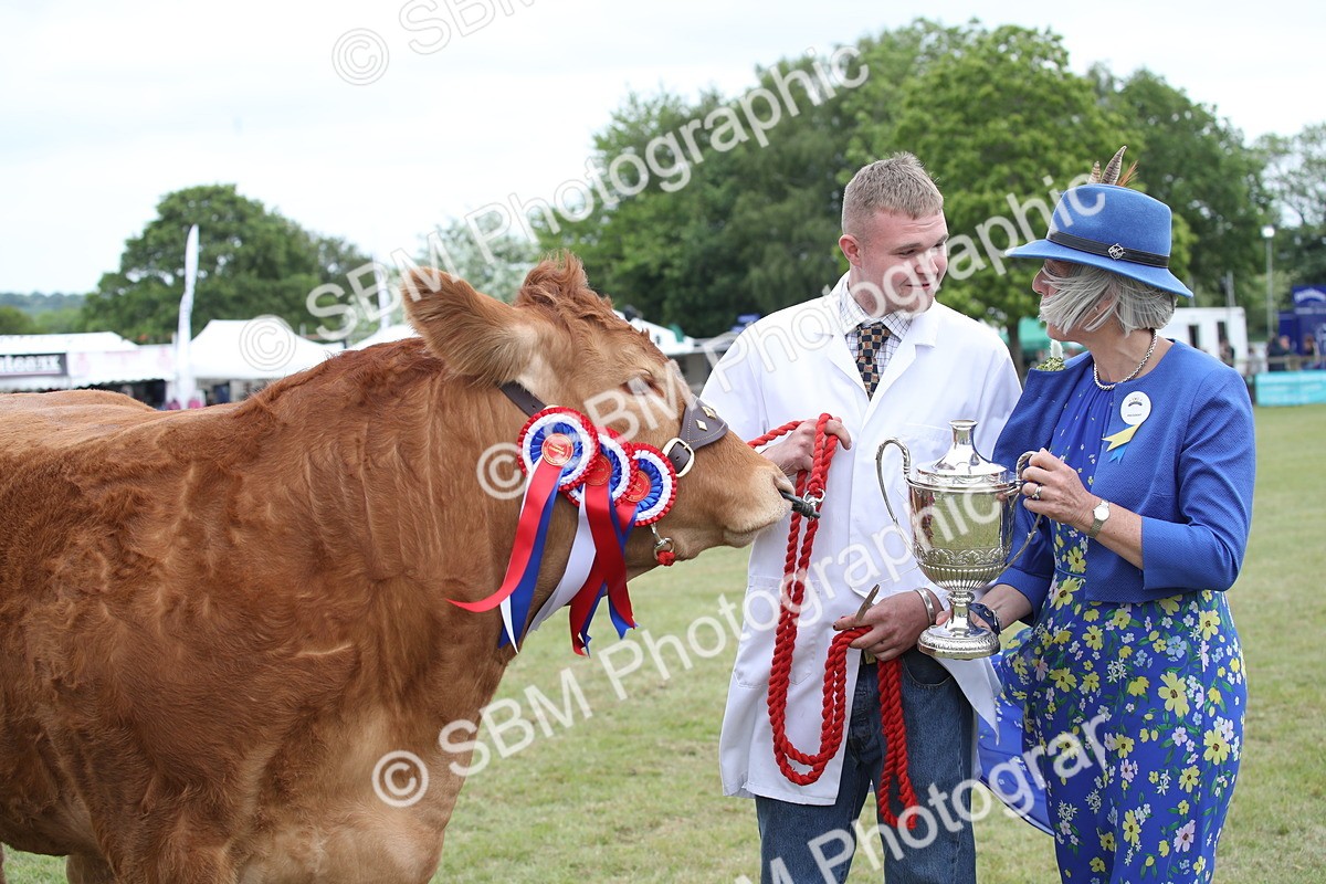 SBM_07922 - Grand Parade