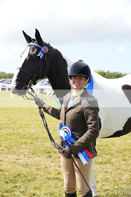 DSC07238 - Coloured Horse In Hand Championship