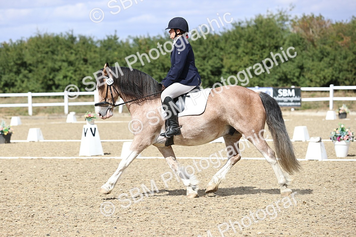 SBM_014560 - Class 5 - E5 Bronze 13.30.14.18