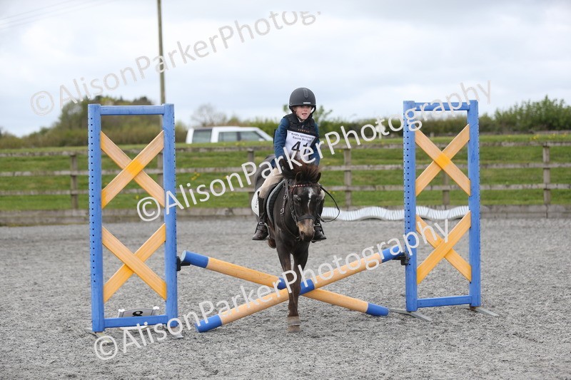 20260412-0582 - Show Jumping