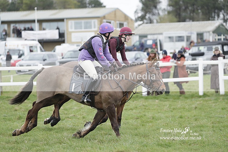PtP 260323 0086 - New Forest Hounds Point-to-Point Larkhill 26/03/23