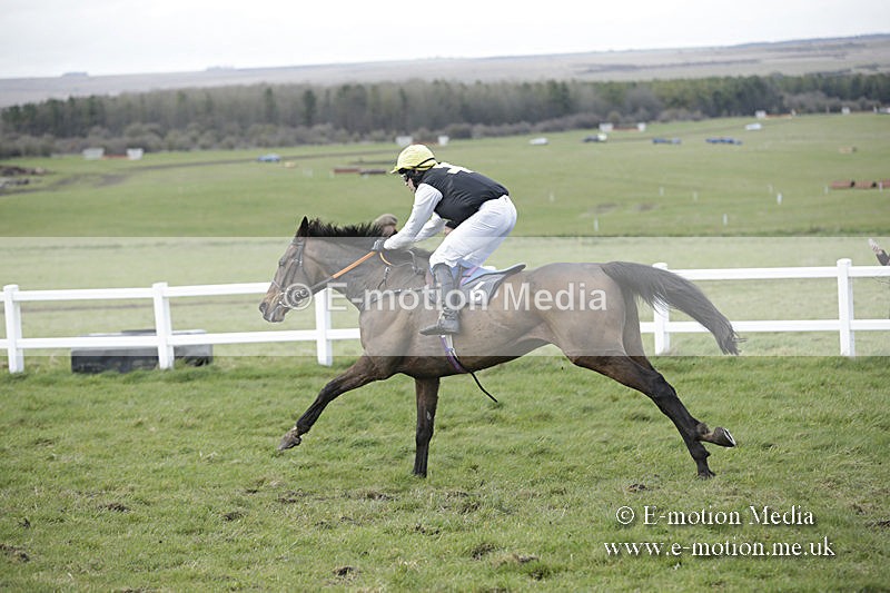 PtP 150320 0693 - New Forest Point-to-Point Larkhill 15/03/20