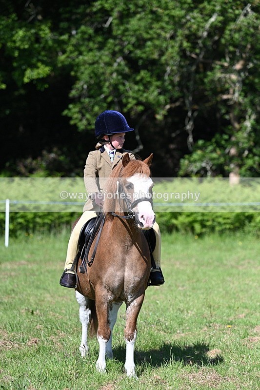 WJ7_0506 - Class 8 First Rally Pony