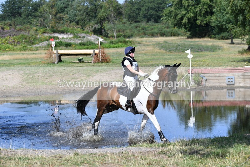 WJ5_2449 - XC Time 11:17 to 11:50