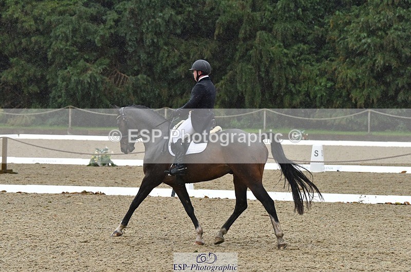 231018-153508-00816 - 011-BIG.QUERLYBET.K.Z-Paul.Whitehead-DR