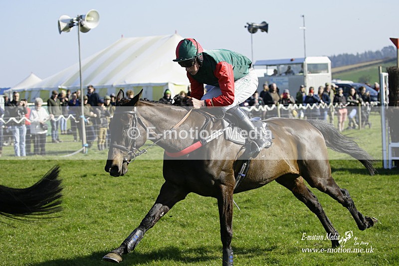 PtP 190322 580 - Wilton Hunt PtP Milborne St Andrew 19/03/22