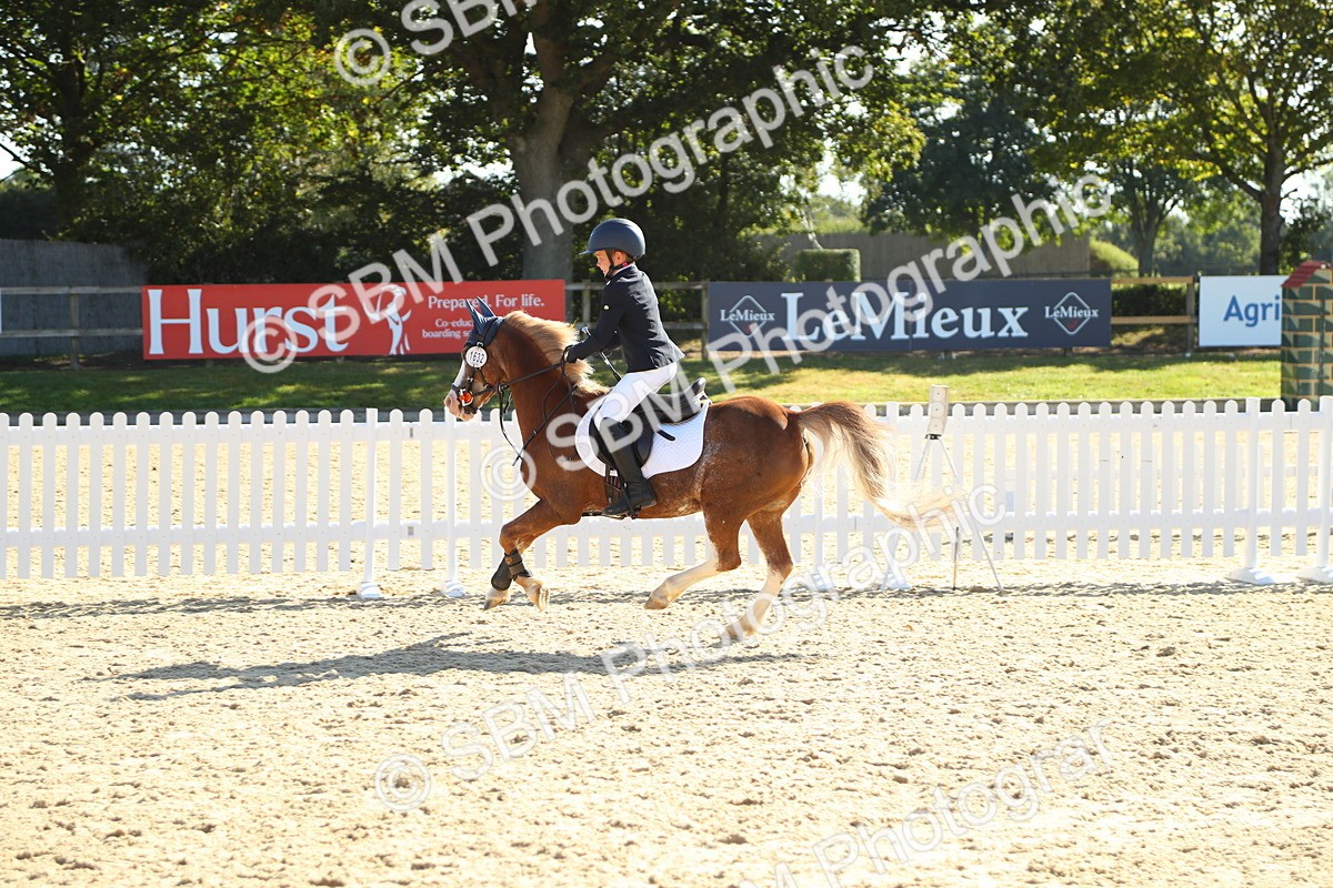 SBM_36072 - J5 - Junior Pony 50cm Championship