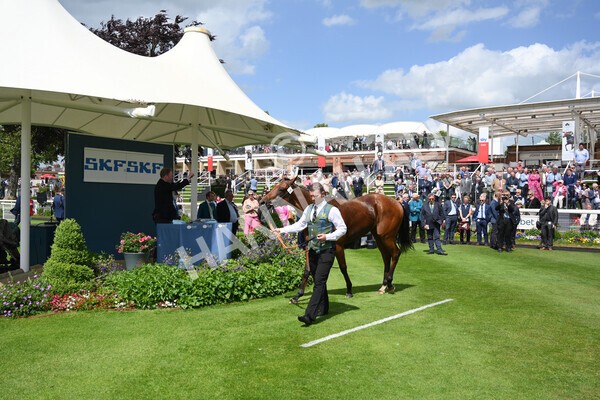 yr10062022r2-59 - Race 2 2.30pm SKF Rous Selling Stakes