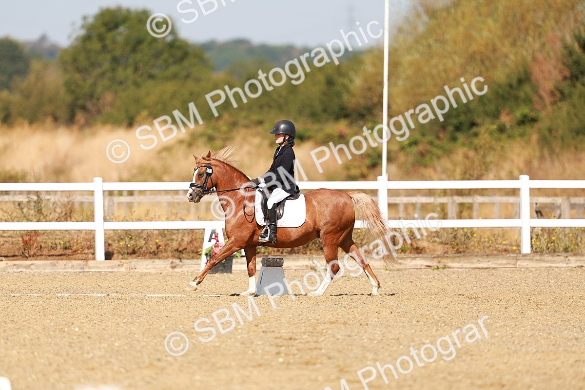SBM_017589