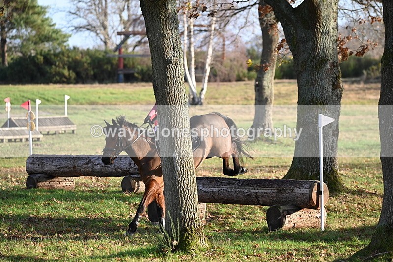 WJ6_3590 - Camera 1 XC