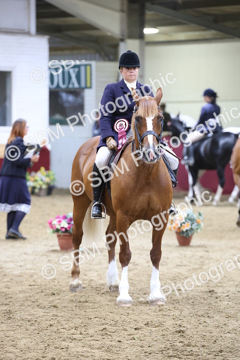 SBM_23837 - class 906 - Supreme Final - Ridden Pre Vet