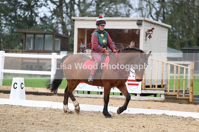 3E7A3953 - Class 2: Intro Section B