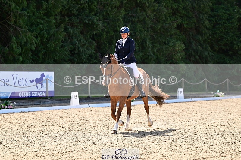 260731A-111307-00256 - Elementary Bronze 10.30 - Break