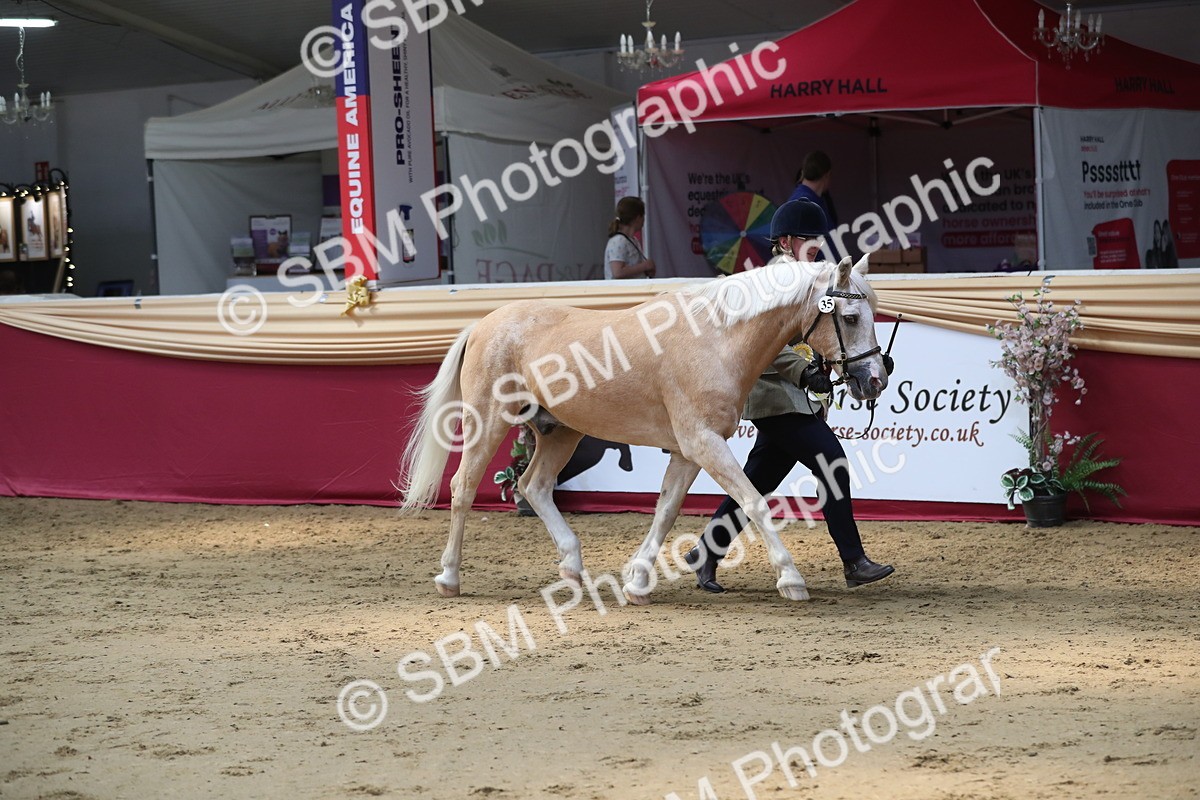 SBM_04503 - Class 7R Regional - IH Diamond