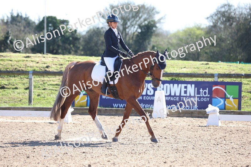 20260318-0531 - Class 5 - Novice 2