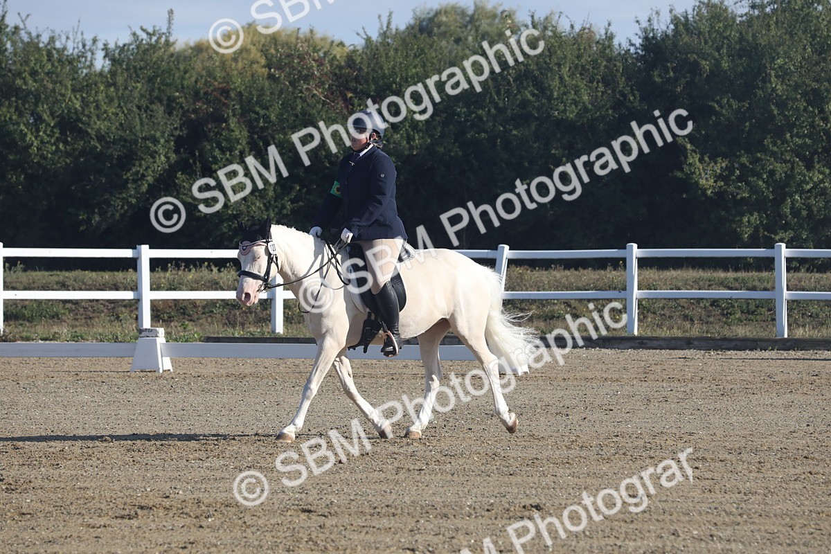 SBM_000088 - Class 1 - Intro 2 Warm Up