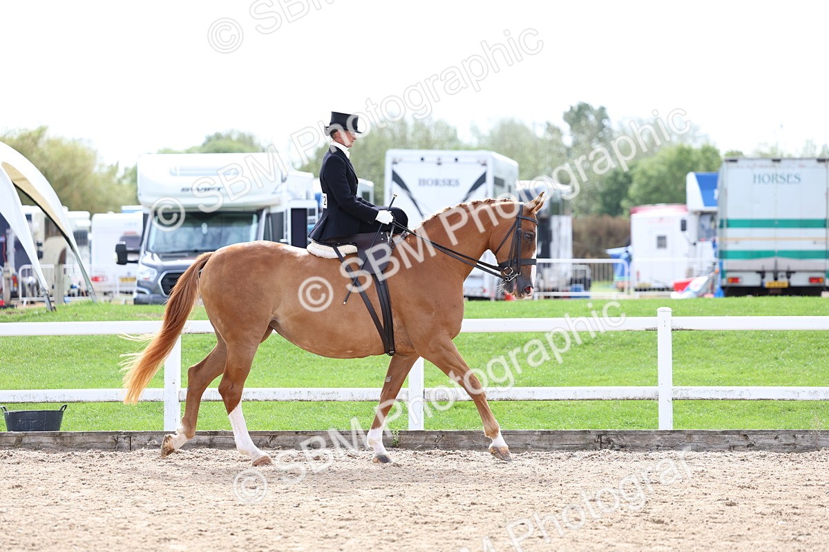 SBM_03289 - Class 23 - SSA Classical (any age)