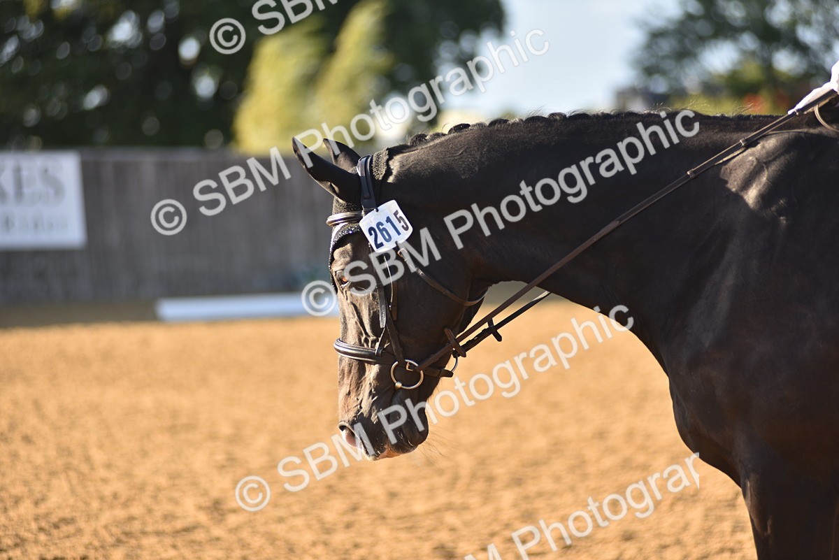 SBM_13309 - D19 - Small Tour Championship Elementary 1