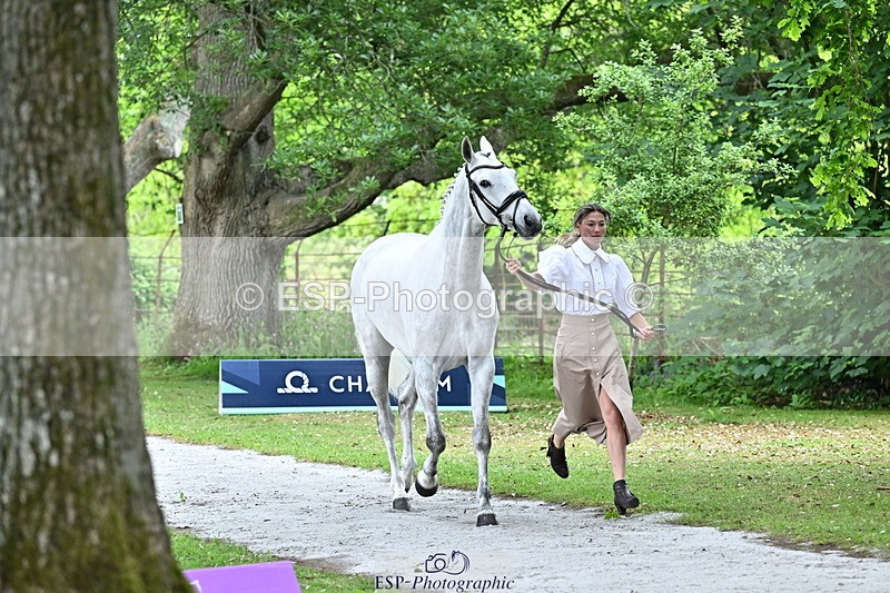 250521A-142913-00027 - A-066-Jemima.Howden-MONBEG.WHISPER