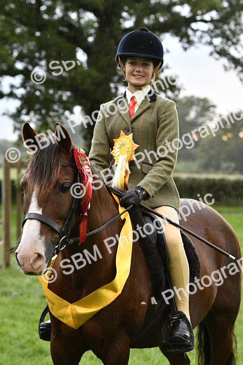 SBM_53365 - S14 - Riding Club Horse