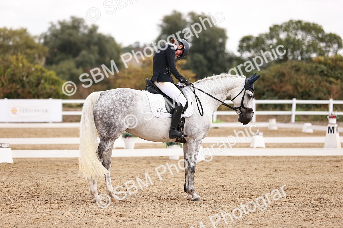 SBM_018013 - Class 15 - Prelim 6