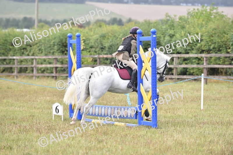 20250831-1875 - Class 9 - Absolute Novice 45cm