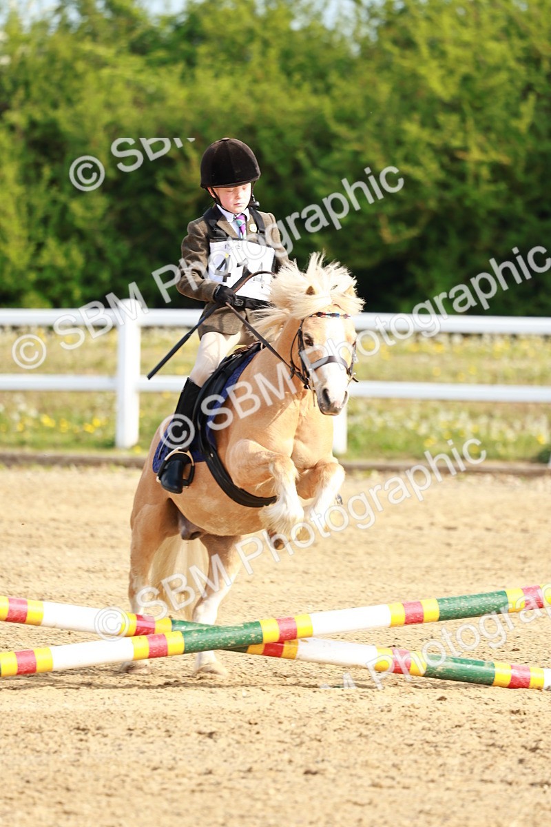 SBM_006384 - Class 1 - 40cm